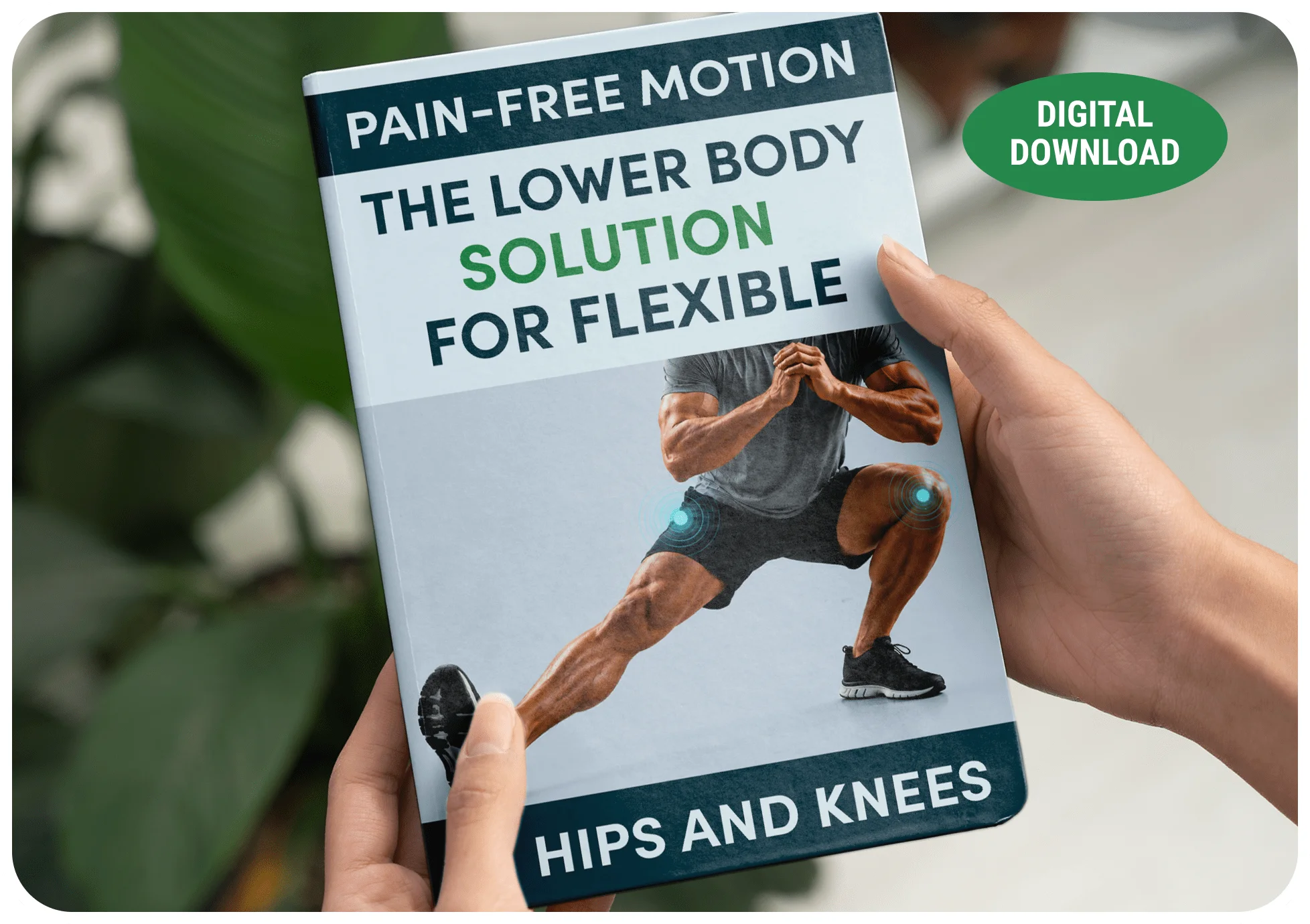 Pain-Free Motion: The Lower Body Solution For Flexible Hips and Knees